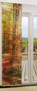 Schiebevorhang - Wald Motiv im Herbst Schiebegardine in allen Farben